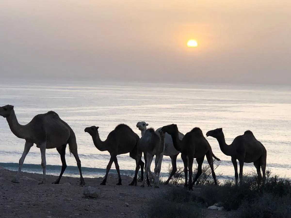 Atlantica-Home 1 Agadir